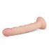 Real Fantasy Scott - elutru dildoo - 25cm (naturaalne)